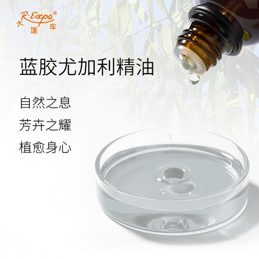 蓝胶尤加利精油 进口精油原料批发芳疗香氛调香香薰 大篷车精油 商品图1
