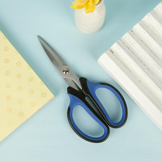 晨光剪刀ASSN2246（蓝色）强力剪154mm 商品图3
