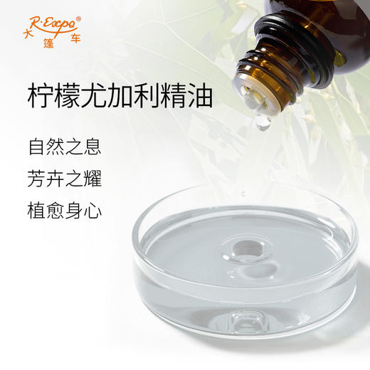柠檬尤加利精油 马达加斯加单方精油原料批发芳疗护理调香香薰 商品图1