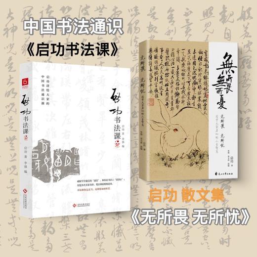 启功作品集2本：启功书法课+启功传记 商品图0