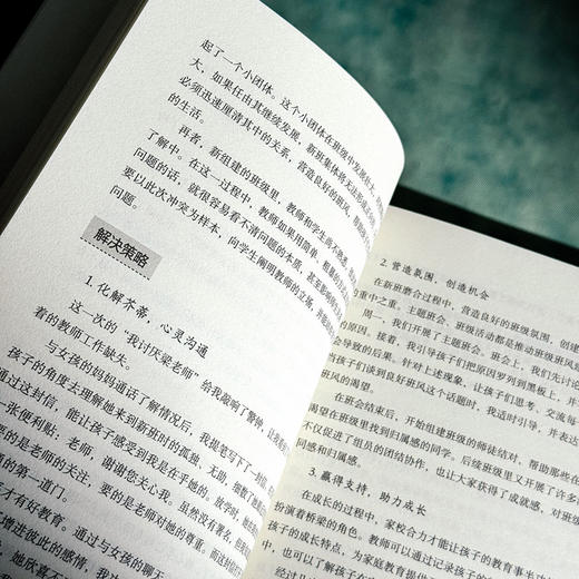 智慧教师的修炼之道 成为积极的问题解决者 大夏书系 教师专业发展 商品图11