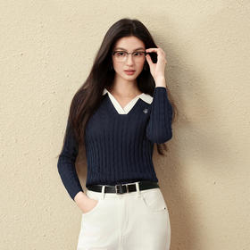 【严选】诗凡黎醋酸天丝羊毛海鸥领针织衫2025秋新款气质通勤显瘦长袖上衣7G7332171