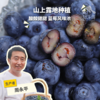有机蓝莓（江苏） | 合作生产*Organic blueberries | Partner Production 商品缩略图0