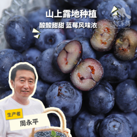 有机蓝莓（江苏） | 合作生产*Organic blueberries | Partner Production