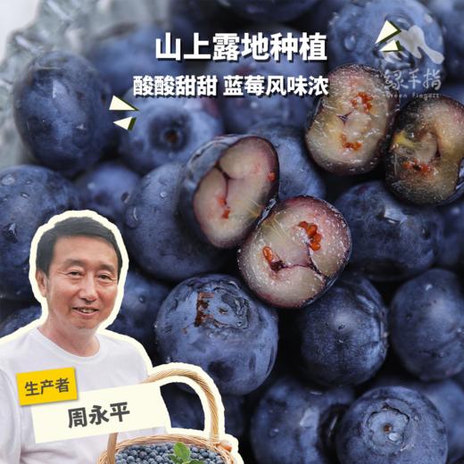 有机蓝莓（江苏） | 合作生产*Organic blueberries | Partner Production 商品图0
