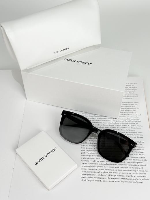 QT74-GENTLE MONSTER 镜腿微标 醋酯纤维 方形 太阳眼镜 （QT*JH）夏季专享 商品图3