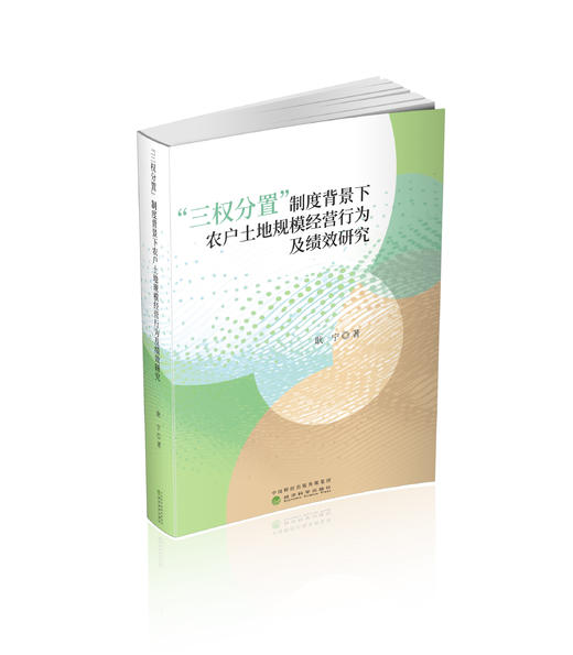 “三权分置”制度背景下农户土地规模经营行为及绩效研究 商品图0