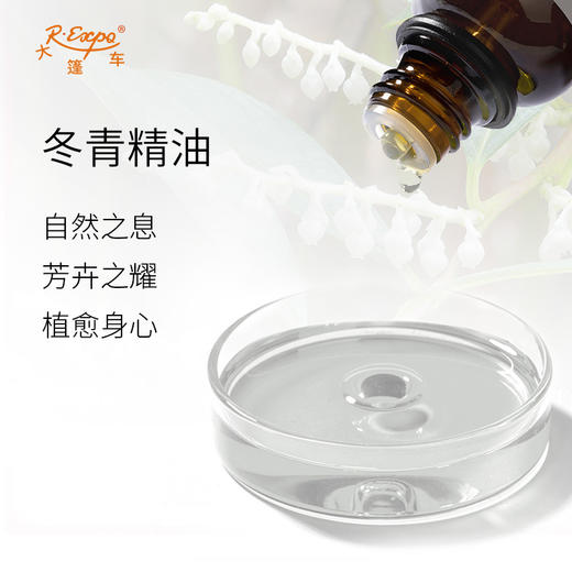 冬青精油 印度单方精油原料批发芳疗护理香氛调香香薰香料 大篷车 商品图1