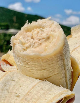 ✈️顺丰包邮到家【野生生态丑芭蕉】成熟后甜软细滑，香糯无比！蕉味儿浓郁，没有酸涩感，回味还带着清香，只采自然8.5成熟+半野生自然状态种植 ❗不泡药不催熟*收到及时拆开箱子判断生熟，先吃黄的！4斤/箱