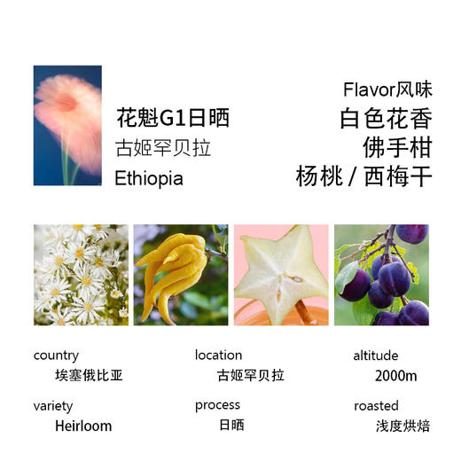 花魁 2025产季埃塞俄比亚古姬罕贝拉G1日晒手冲咖啡豆黑咖啡 商品图1
