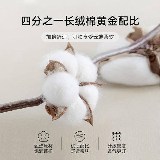 2025年新款雅芳婷100%全棉床上五件套床笠款简约风被套长绒棉套件 商品图1