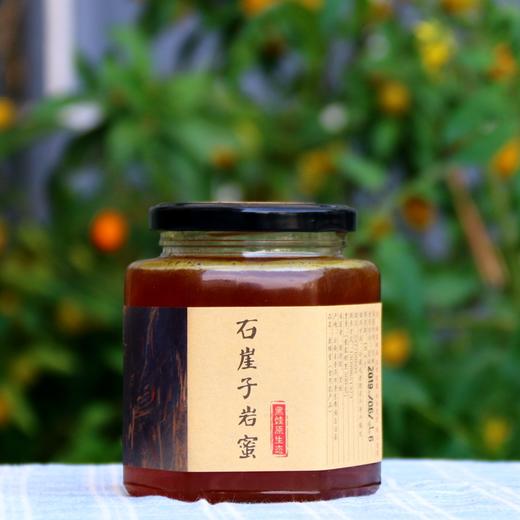 云南景东土蜂百花蜜石崖子岩蜜食用农产品山林野生蜂蜜天然健康香甜营养 商品图5