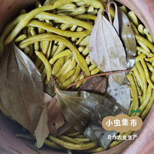 生态老坛酸豇豆/泡豇豆/酸豆角 200g/袋 | 合作农友生产，产自四川成都，生产者：原乡生态农场 *【公平贸易农人定价】 商品图7
