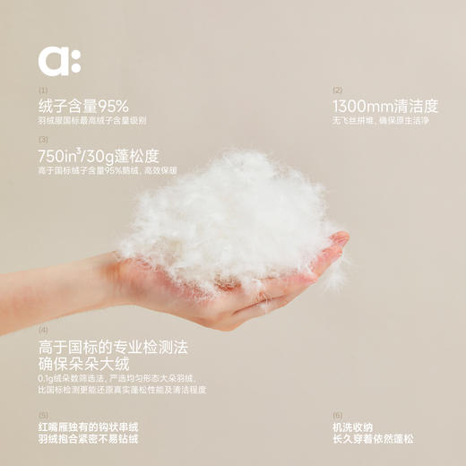 【当季主推】【连帽轻羽绒】allblu幼岚【红嘴雁】无领轻羽绒儿童外套男童女童25秋新款A类 商品图2