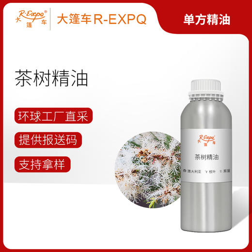 茶树精油/互叶白千层 澳大利亚精油原料批发 芳疗护理香氛调香 商品图0