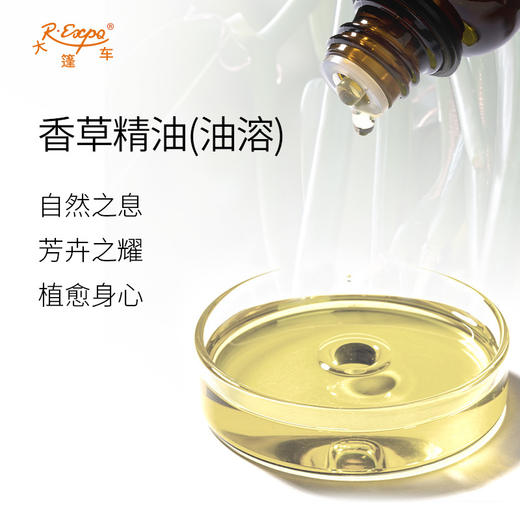 香草精油/香草兰(油溶)马达加斯加精油原料批发芳疗护理调香 大篷车精油 商品图1