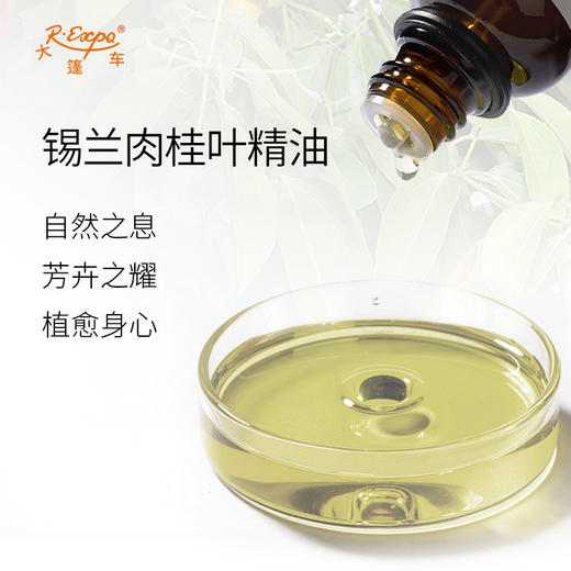 锡兰肉桂叶精油 印度单方精油原料批发芳疗护理调香 大篷车精油 商品图1