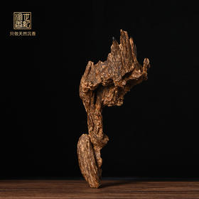 天然达拉干沉香原料 沉水级 SP2874