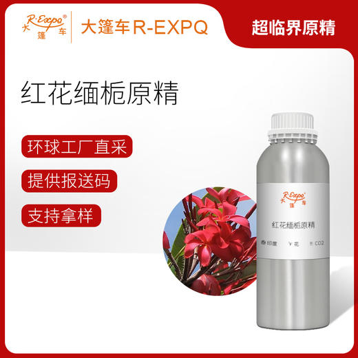 红花缅栀原精/红鸡蛋花 Frangipani 印度产地直采 精油芳疗护理 商品图0