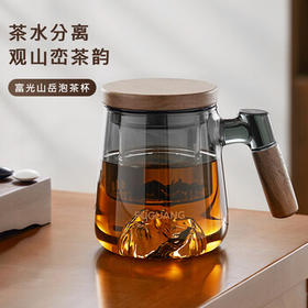 富光泡茶杯茶水分离高硼硅玻璃杯办公室喝茶水杯子花茶杯公道杯子