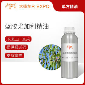 蓝胶尤加利精油 进口精油原料批发芳疗香氛调香香薰 大篷车精油