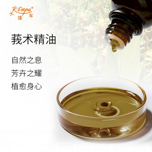 莪术精油/山姜黄 印度精油原料批发芳疗香氛调香香薰 大篷车精油 商品图1