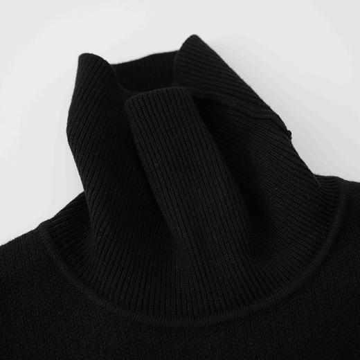 HX 冬季高领毛衫S107444416101/02 商品图4