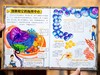 《我的di一本科学启蒙书》系列（全7册），科普界“封神”之作,众多一线教师审读推荐，热销300万册， 商品缩略图7