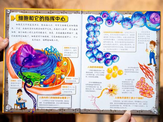 《我的di一本科学启蒙书》系列（全7册），科普界“封神”之作,众多一线教师审读推荐，热销300万册， 商品图7