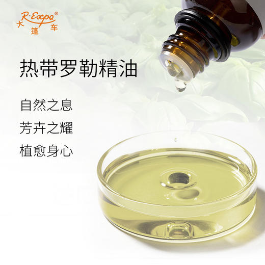 热带罗勒精油 印度单方精油原料批发芳疗香氛调香香薰大篷车精油 商品图1