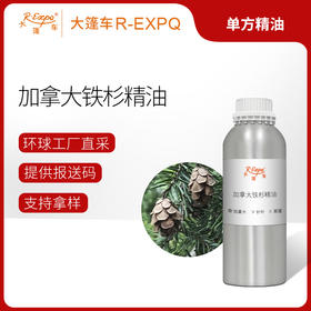 加拿大铁杉精油/云杉 加拿大精油原料批发芳疗香氛调香香薰 大篷车