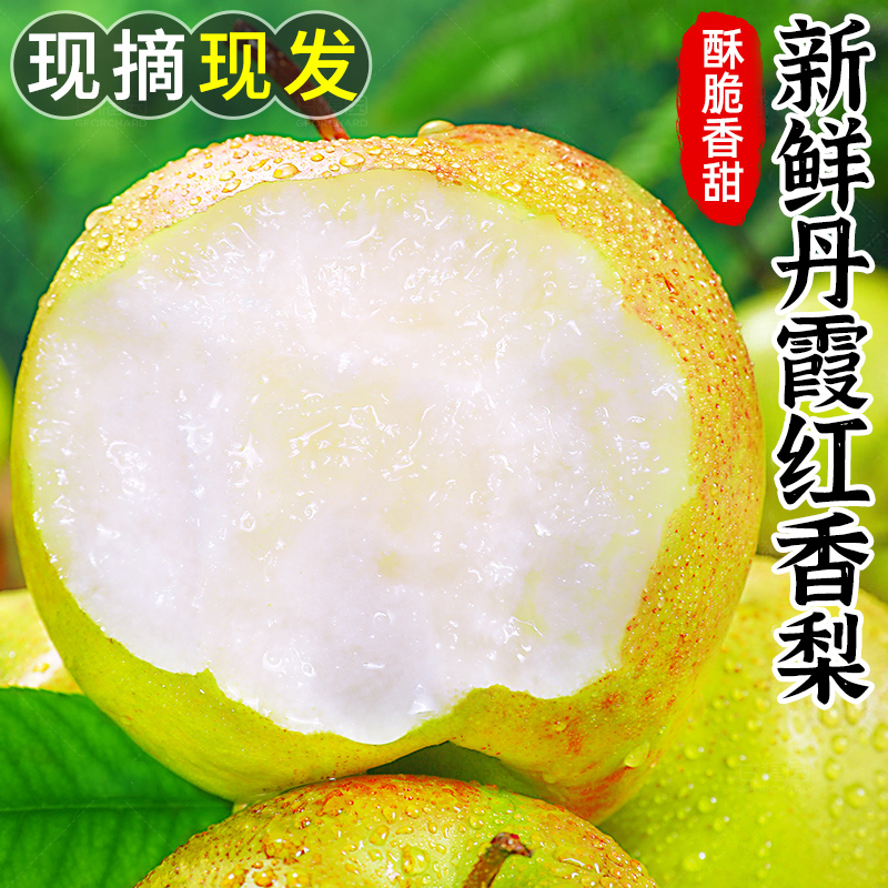 【宜昌助农馆】新鲜丹霞红香梨  脆甜多汁 当季丰水梨子酥脆