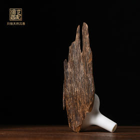 天然文莱沉香  九分沉 9.3克SP3425