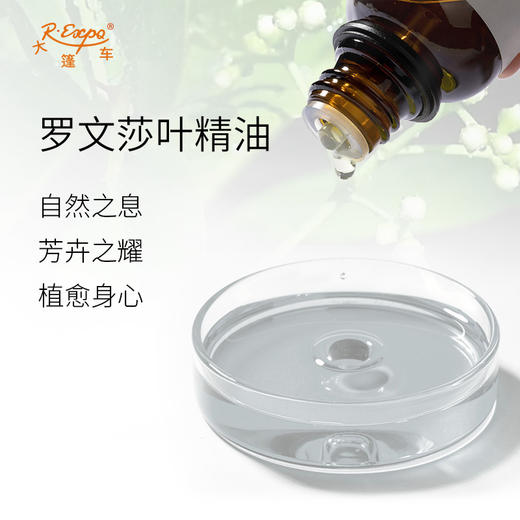 罗文莎叶精油 马达加斯加单方精油原料批发 芳疗护理调香香薰 商品图1