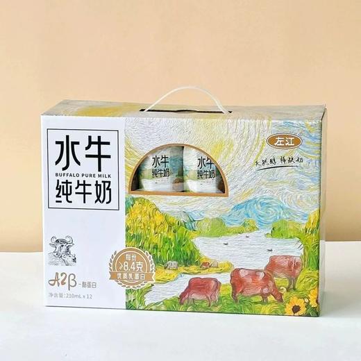 拍2提85元！！210ml*12左江水牛纯牛奶 儿童营养早餐奶RUI 商品图0