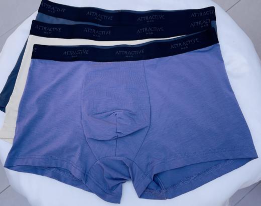 迪兰多莫代尔棉四角内裤亲肤舒适22805811 商品图0