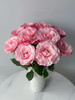 和弦玫瑰【 有一个世界永远不天黑，星星太阳万物都听我指挥】简小姐精选稀有粉色玫瑰 和弦 基地直发 2件顺丰空运包邮 商品缩略图4