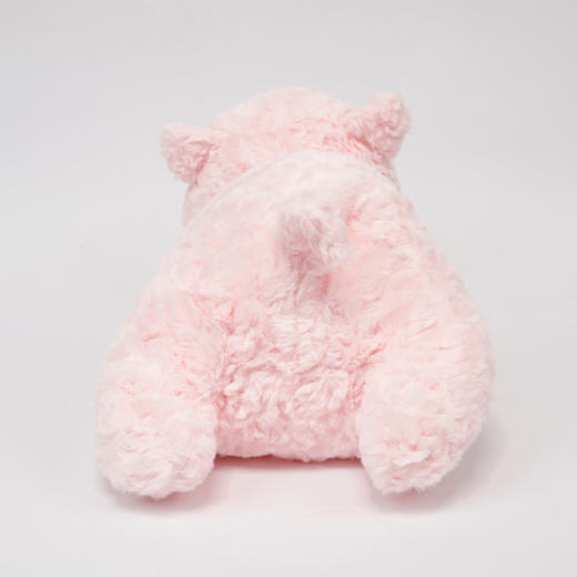 趴姿萌宠抱枕纪念日百货门店同款163194903 商品图2