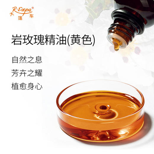 岩玫瑰精油（黄色） 西班牙进口单方精油原料批发芳疗护理 商品图1