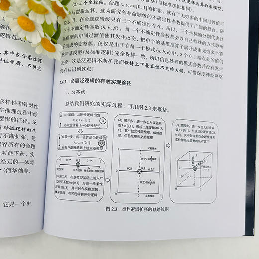 人工智能：范式革命与通用理论 商品图4