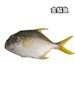 【冻品】金鲳鱼 单条1-1.2斤上下  【整条带鱼鳍塑封冷冻，串气儿正常情况，介意勿选哦】可与冻鲈鱼、黄花鱼混拼，需备注 商品缩略图0