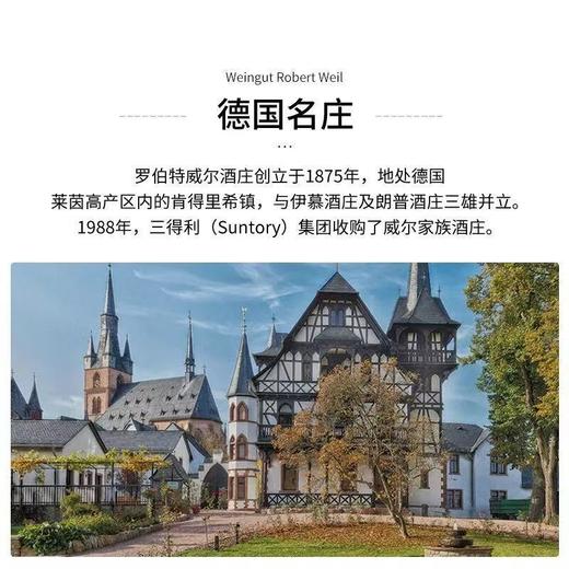 罗伯特威尔酒庄莱茵高雷司令白葡萄酒 750ml 商品图3