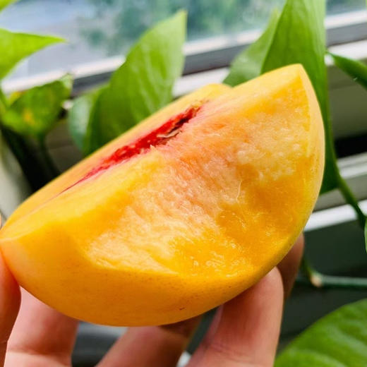云阳锦绣黄桃，家乡好桃！带箱6斤/10斤装，普通地区顺丰包邮！ 商品图1