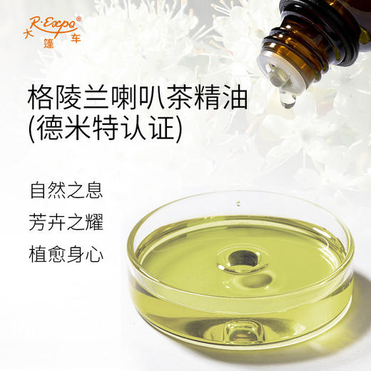 【德米特认证】格陵兰喇叭茶精油/拉布拉多茶 Greenland Labrador Tea 产地直采 商品图1