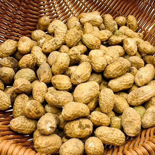  生态鲜花生（带壳）| 合作生产 *Ecological fresh peanuts | Partner Production 商品图1