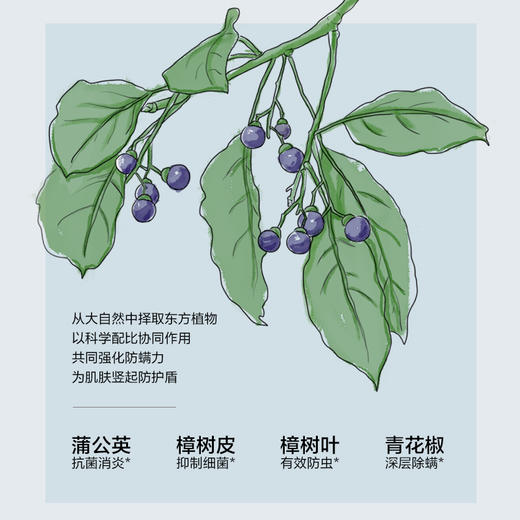 【代言人成毅同款】有棵树植物停螨衣男女情侣可外穿家居服G-L1002 商品图3