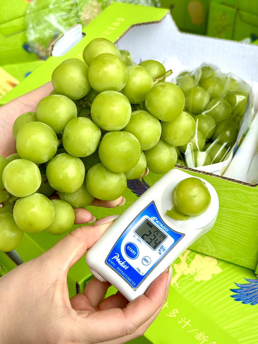 顺丰包邮到家，有机精品阳光玫瑰青提，甜蜜中自带玫瑰花香，口感细腻，甜度好，关键自带的花香味很难不爱！沁人心脾，甜而不腻
4斤/箱 商品图1