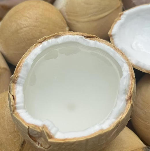 【泰国椰皇】又名奶椰，醇香奶味，100％纯天然，低糖低卡路里，清润补水，富含维生素矿物质，味道超赞,送吸管 商品图6