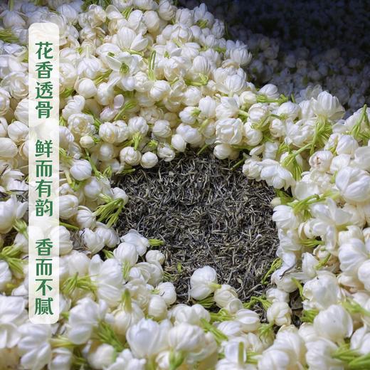 【分销】八窨茉莉花茶  福鼎大毫春芽  鲜灵透骨，冷香持久！茶引花香，甘爽回甜！ 商品图1
