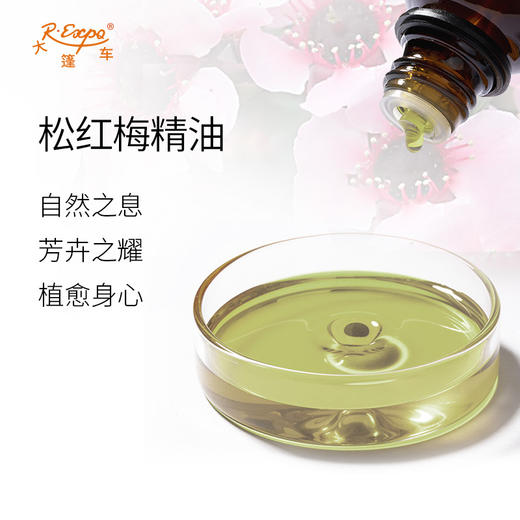 松红梅精油/马努卡 新西兰精油原料批发芳疗护理调香 大篷车精油 商品图1